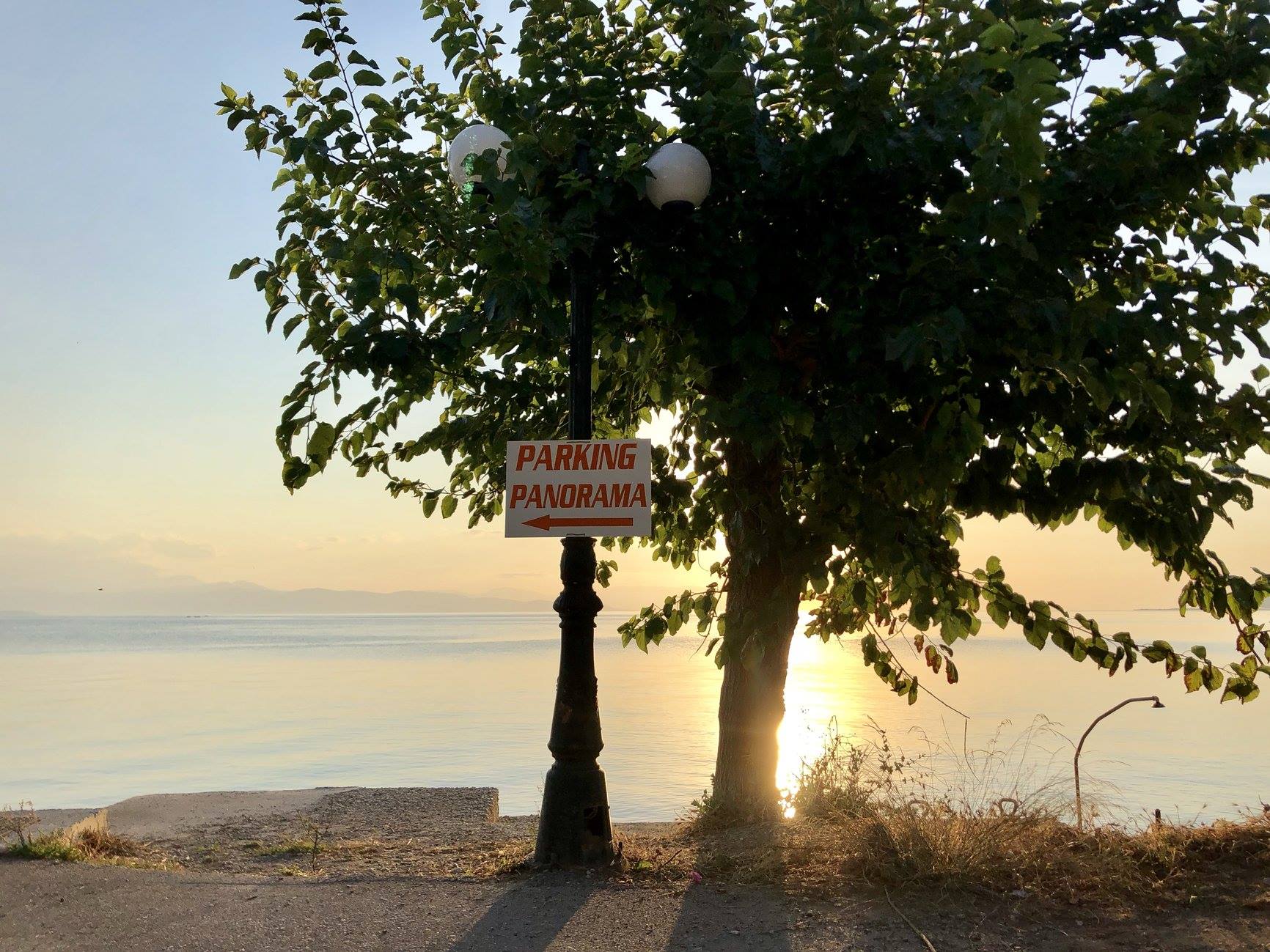 58382561_575564116267315_4239557321618882560_n